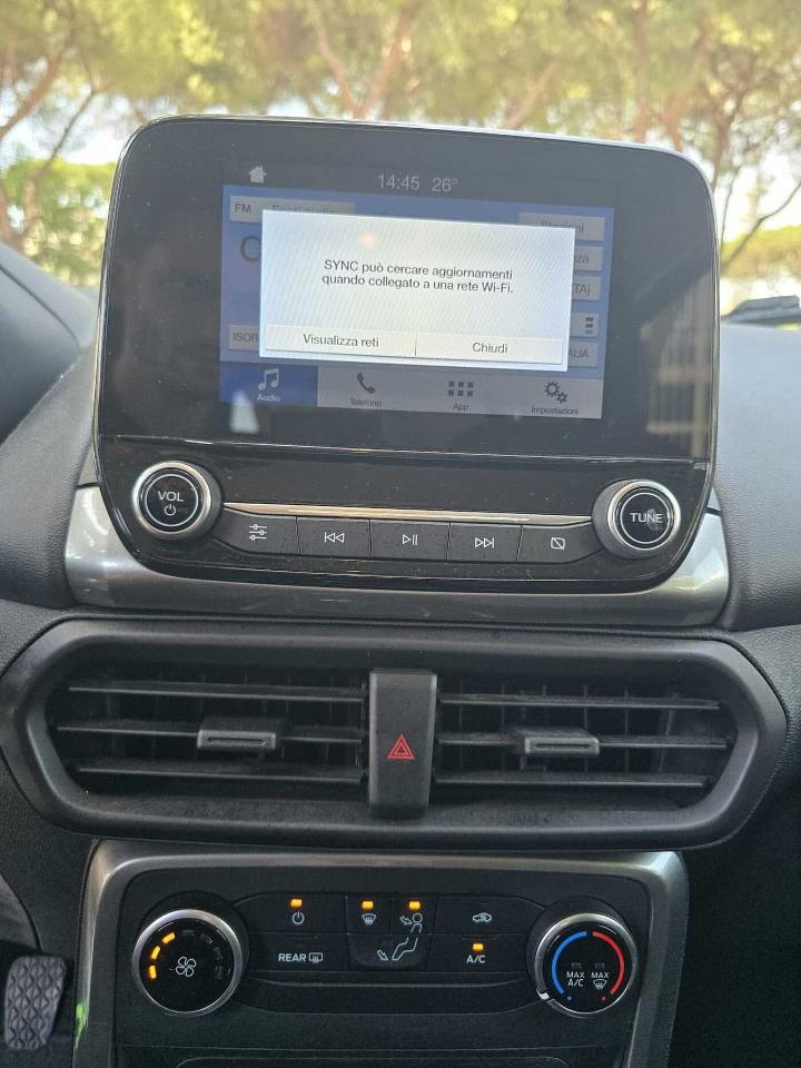 Ford Ford Ecosport usata 16