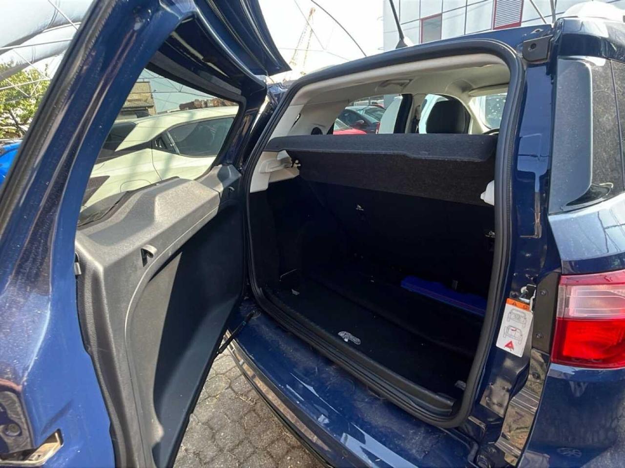 Ford Ford Ecosport usata 9
