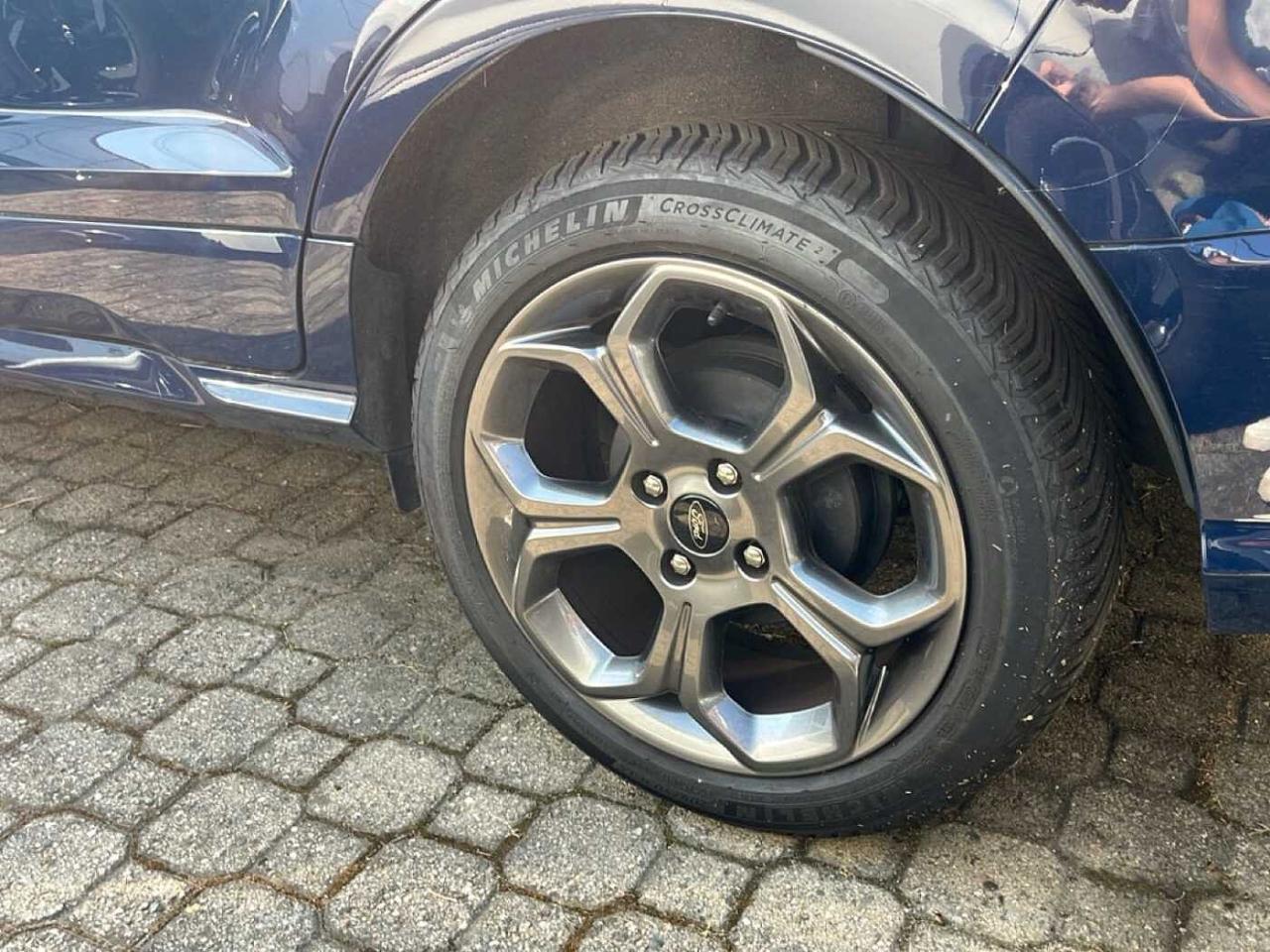 Ford Ford Ecosport usata 12