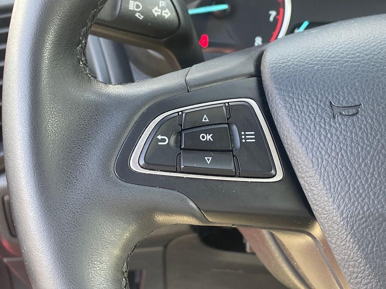 Ford Ford Ecosport usata 13