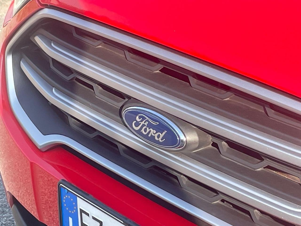Ford Ford Ecosport usata 18
