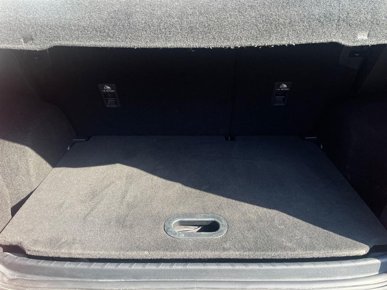 Ford Ford Ecosport usata 23