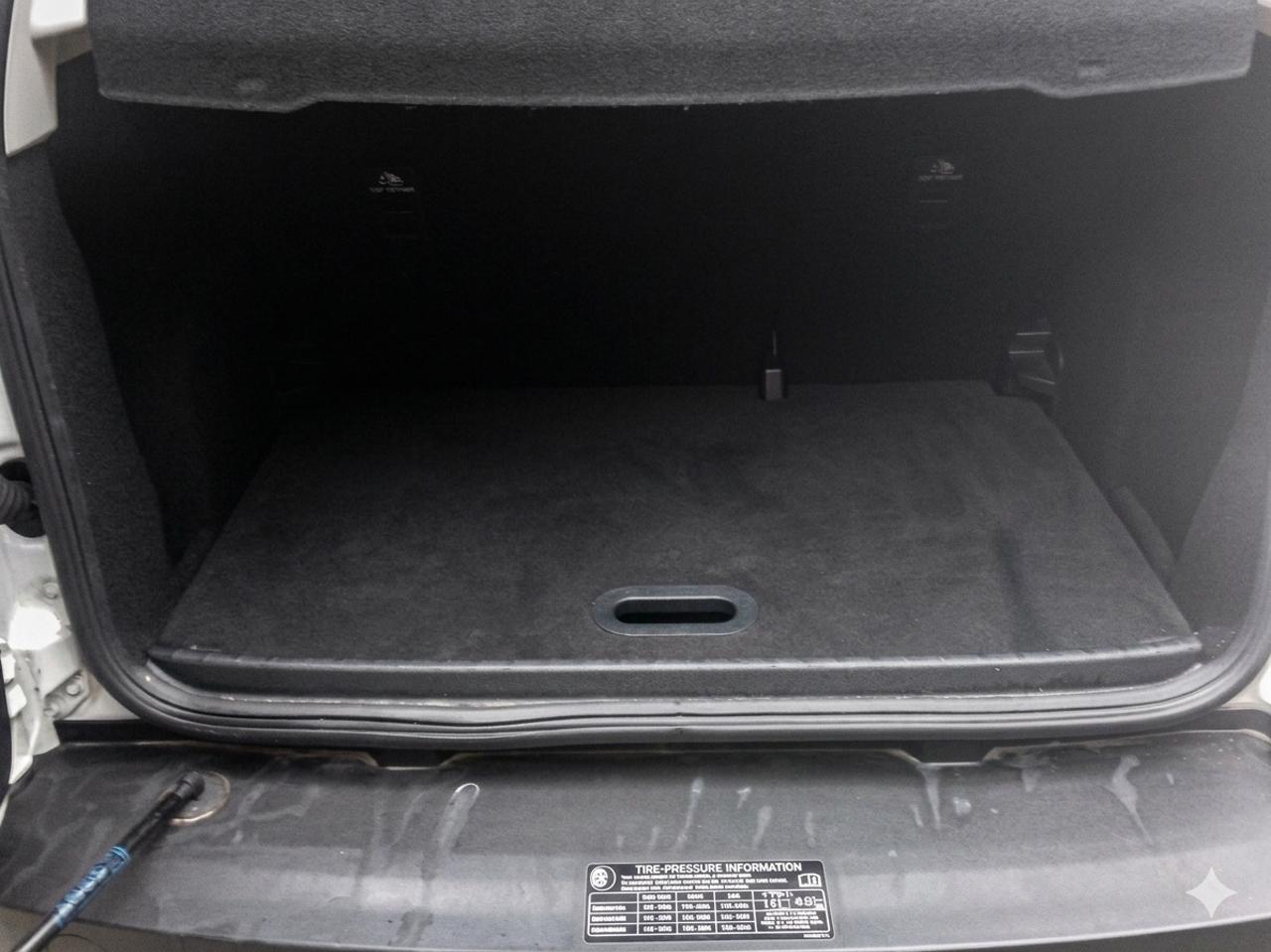 Ford Ford Ecosport usata 5