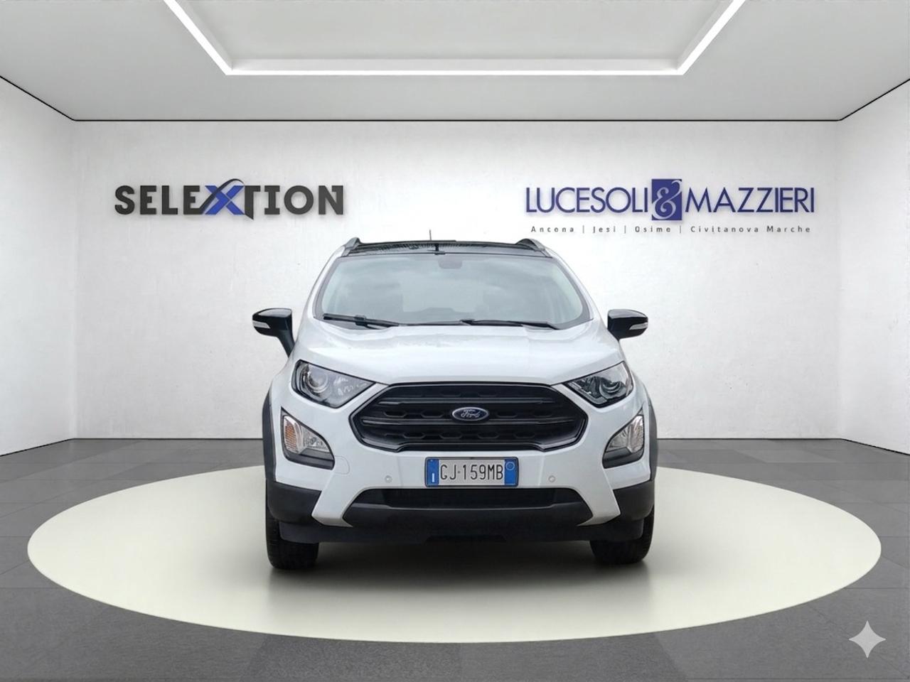 Ford Ford Ecosport usata 12