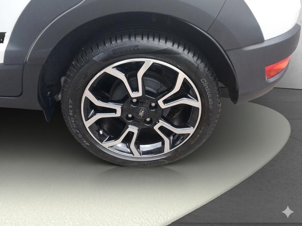 Ford Ford Ecosport usata 13