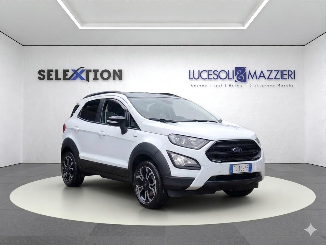 Ford Ford Ecosport usata 14