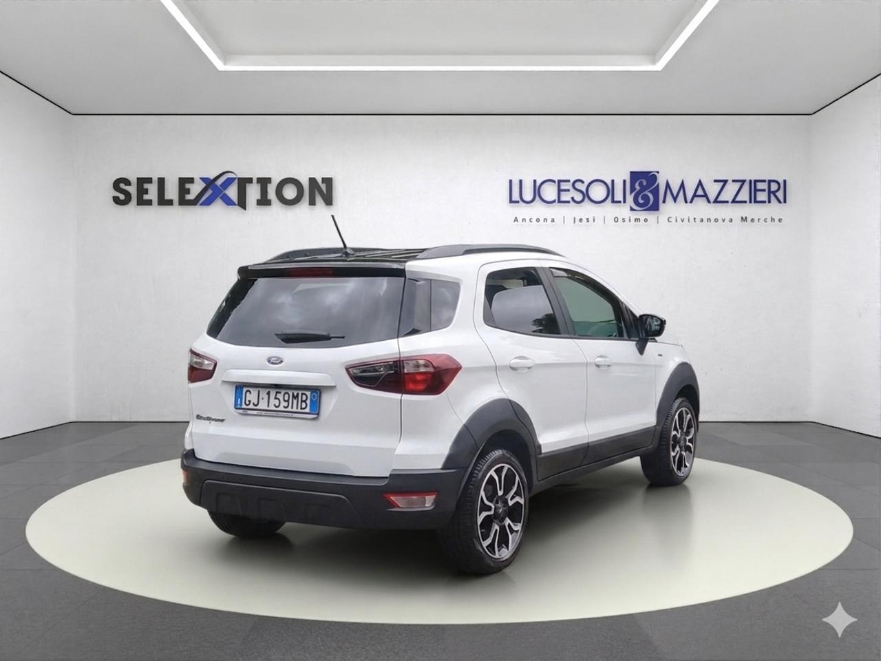 Ford Ford Ecosport usata 15