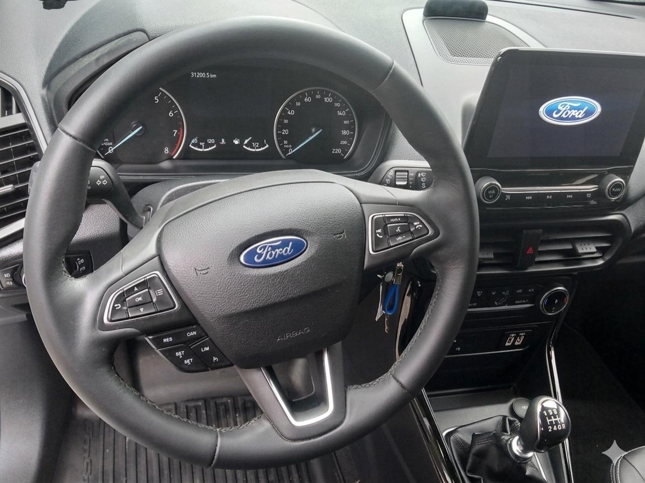 Ford Ford Ecosport usata 18