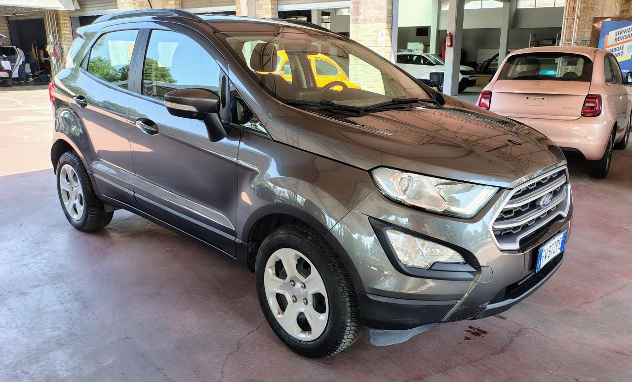 Ford Ford Ecosport usata 8