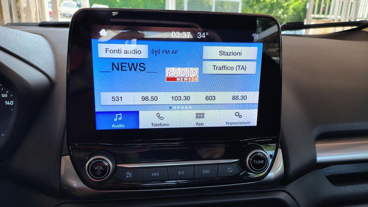 Ford Ford Ecosport usata 11