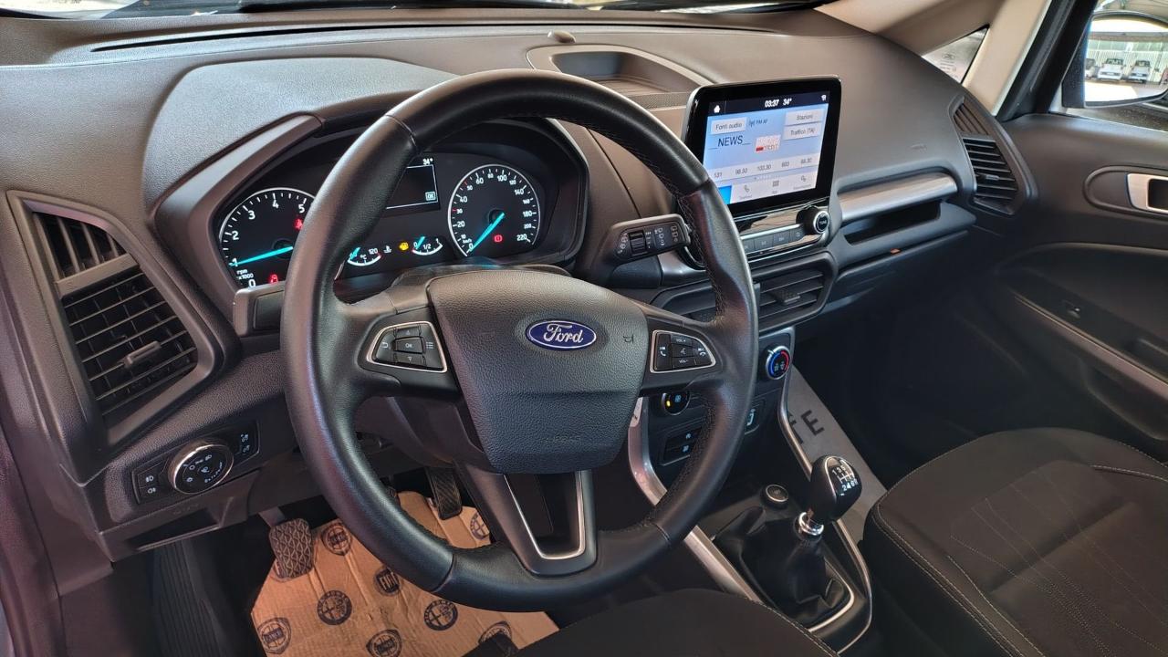 Ford Ford Ecosport usata 13
