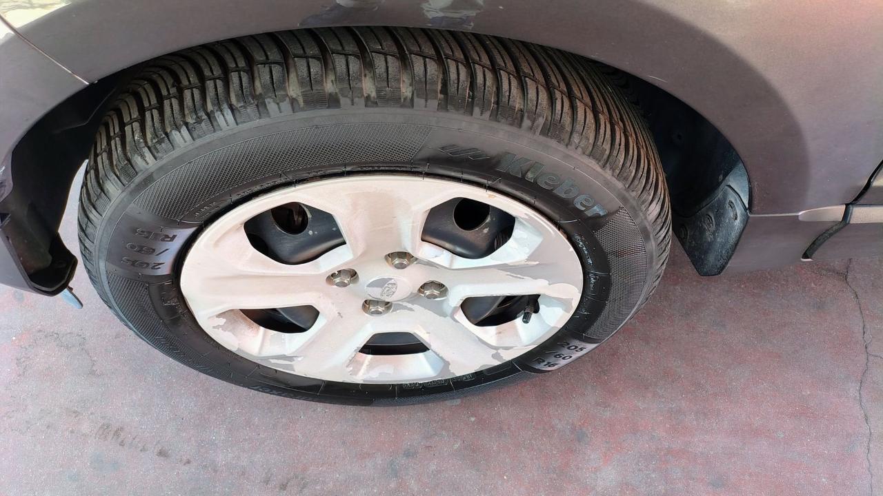 Ford Ford Ecosport usata 15