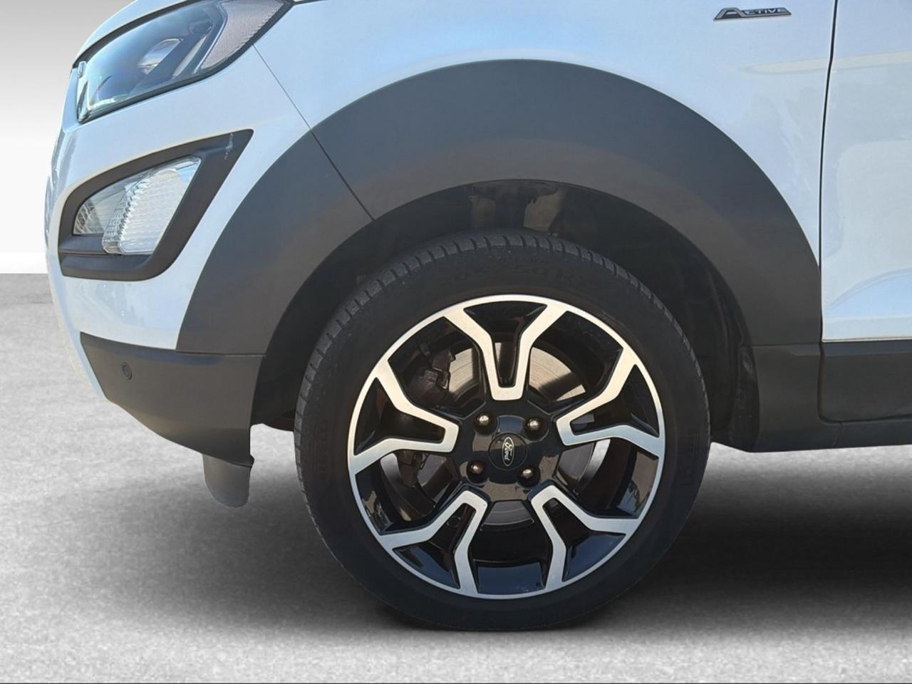 Ford Ford Ecosport usata 6