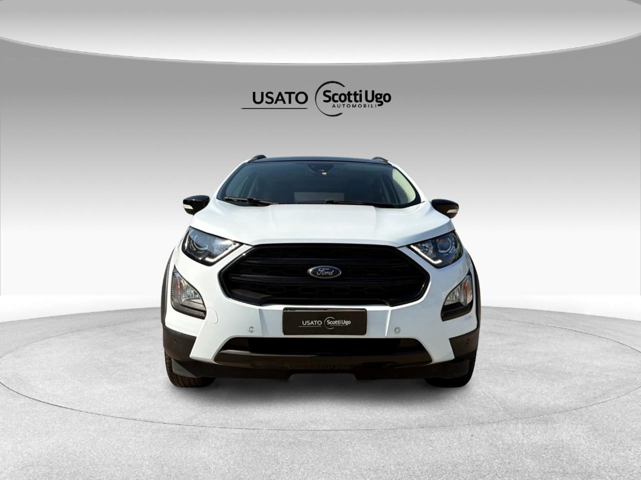 Ford Ford Ecosport usata 7