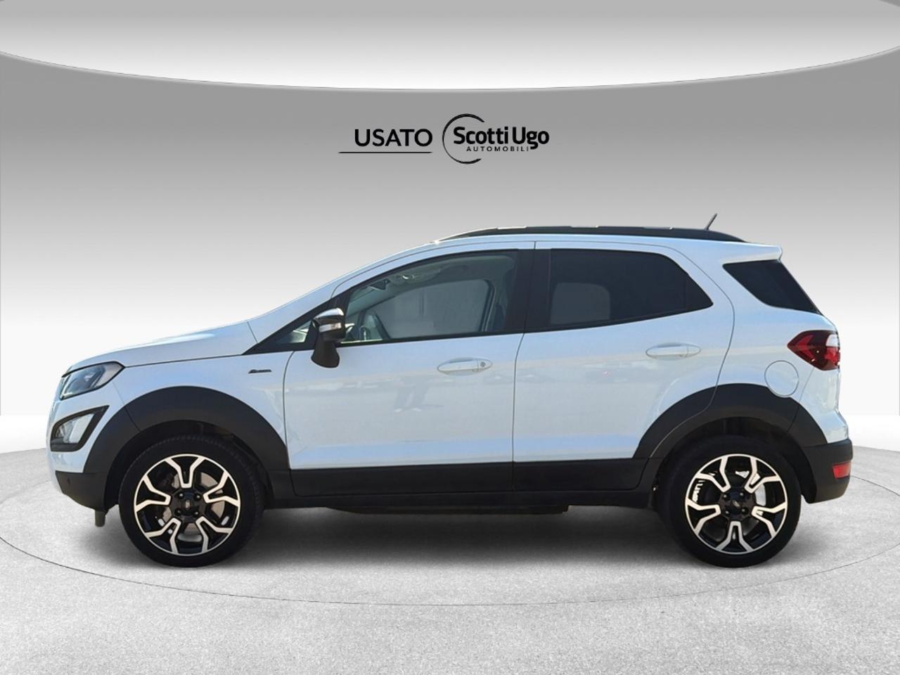Ford Ford Ecosport usata 8