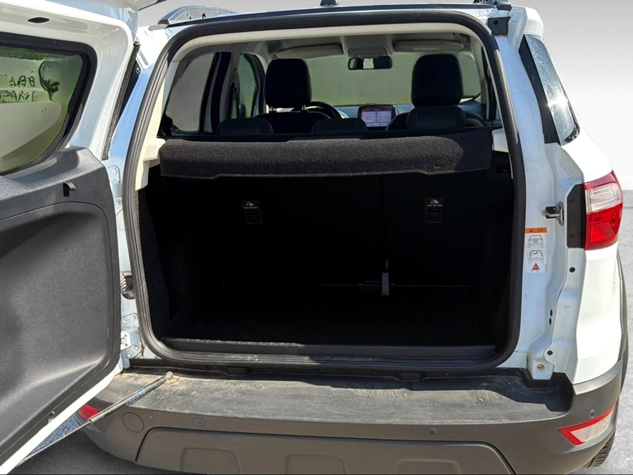 Ford Ford Ecosport usata 11