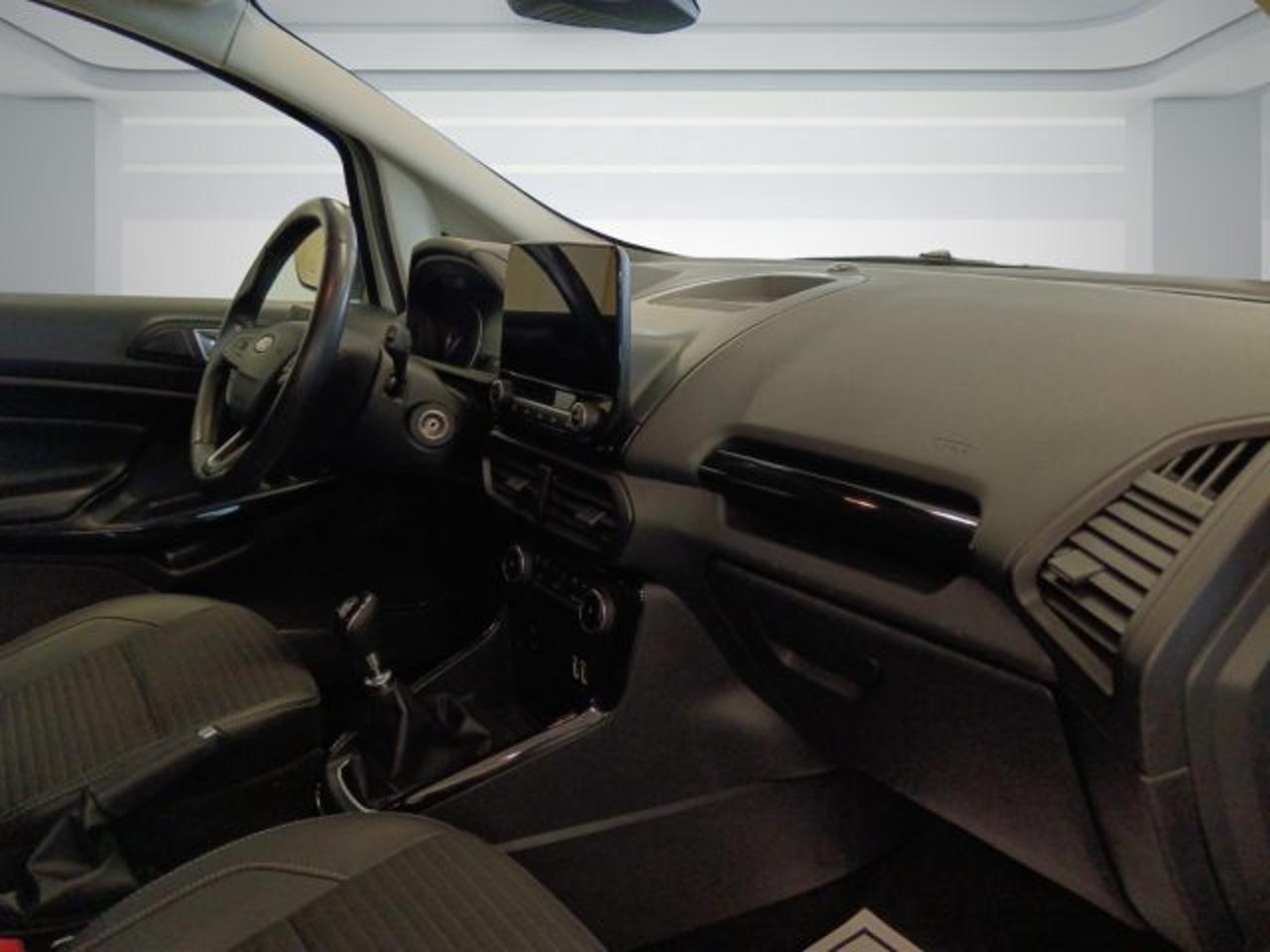 Ford Ford Ecosport usata 9