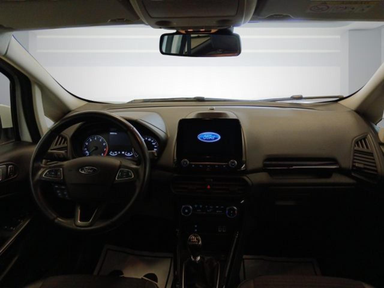 Ford Ford Ecosport usata 12