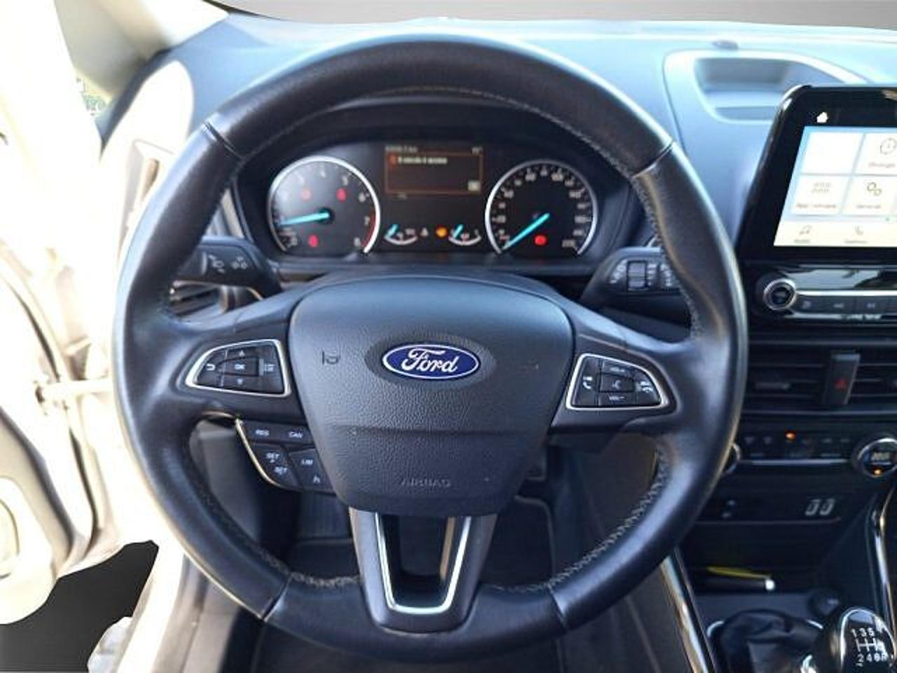 Ford Ford Ecosport usata 10