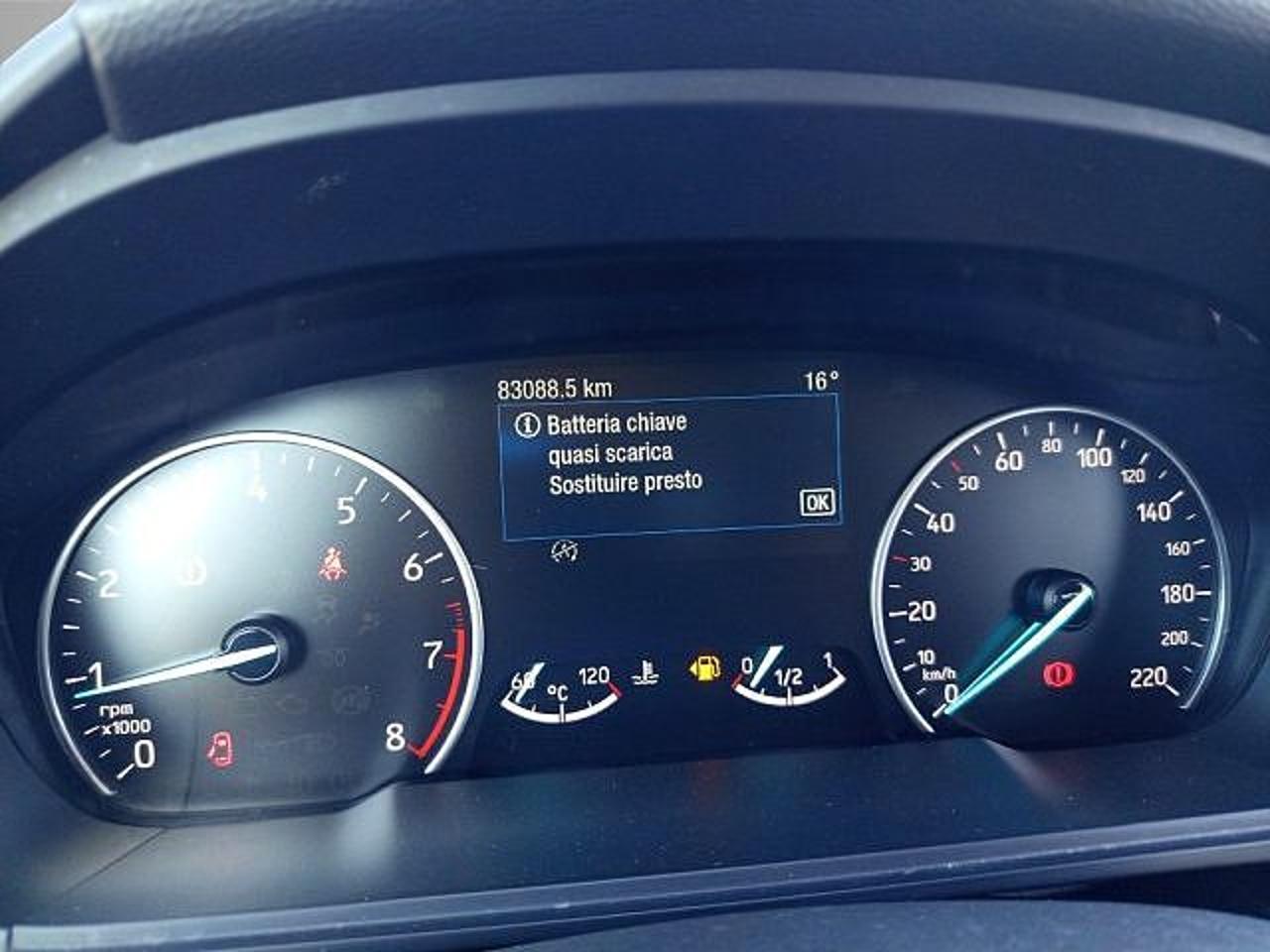 Ford Ford Ecosport usata 12