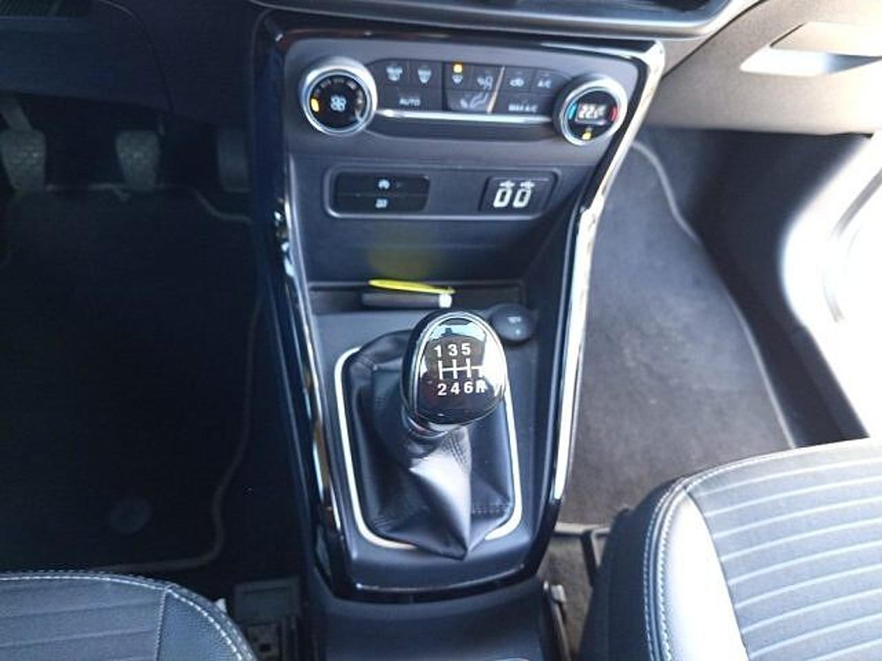 Ford Ford Ecosport usata 14