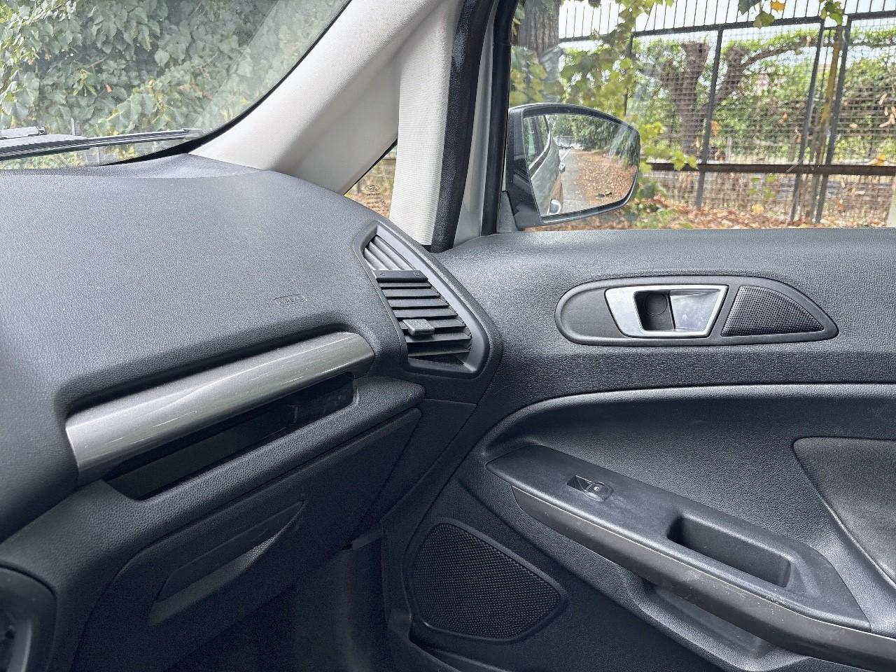 Ford Ford Ecosport usata 10