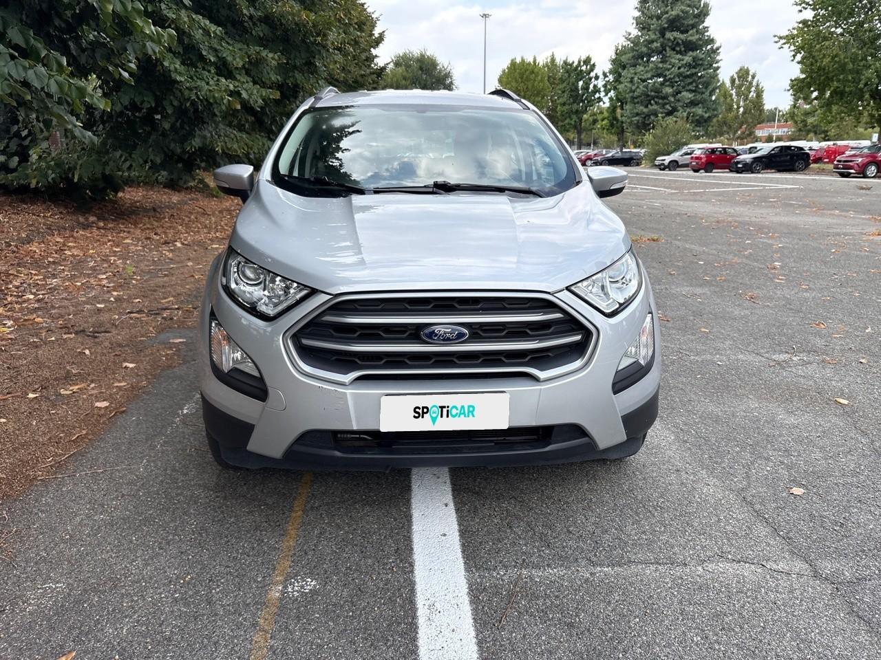 Ford Ford Ecosport usata 11