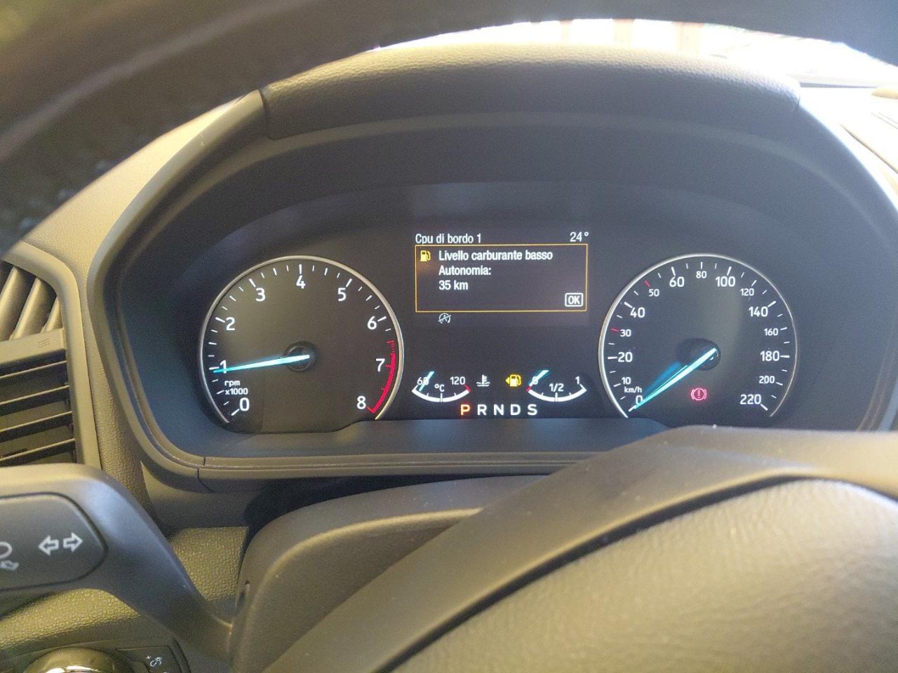 Ford Ford Ecosport usata 3