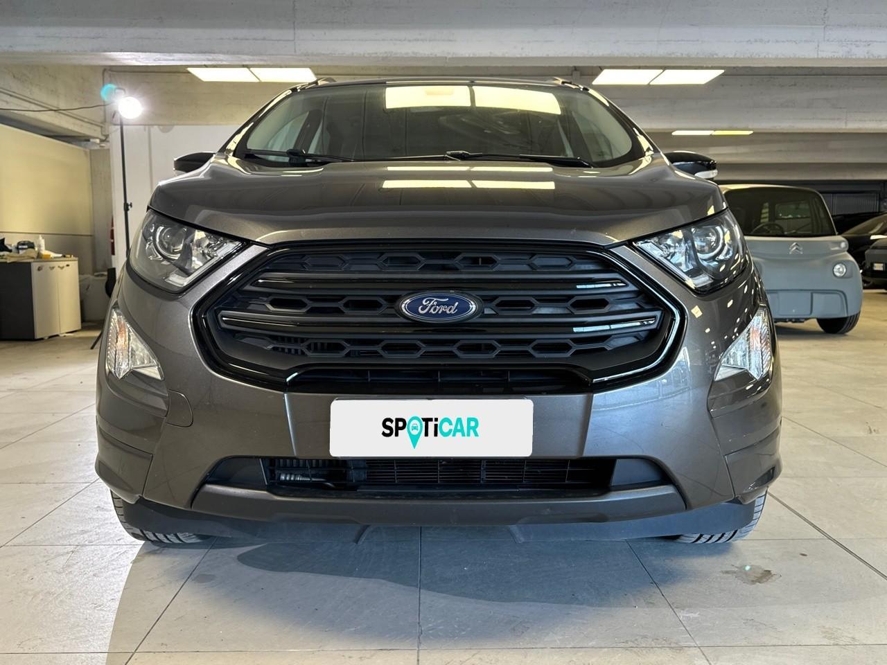 Ford Ford Ecosport usata 11