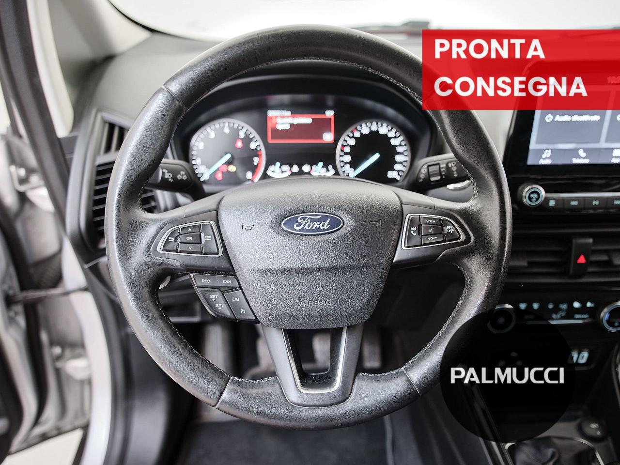 Ford Ford Ecosport usata 8
