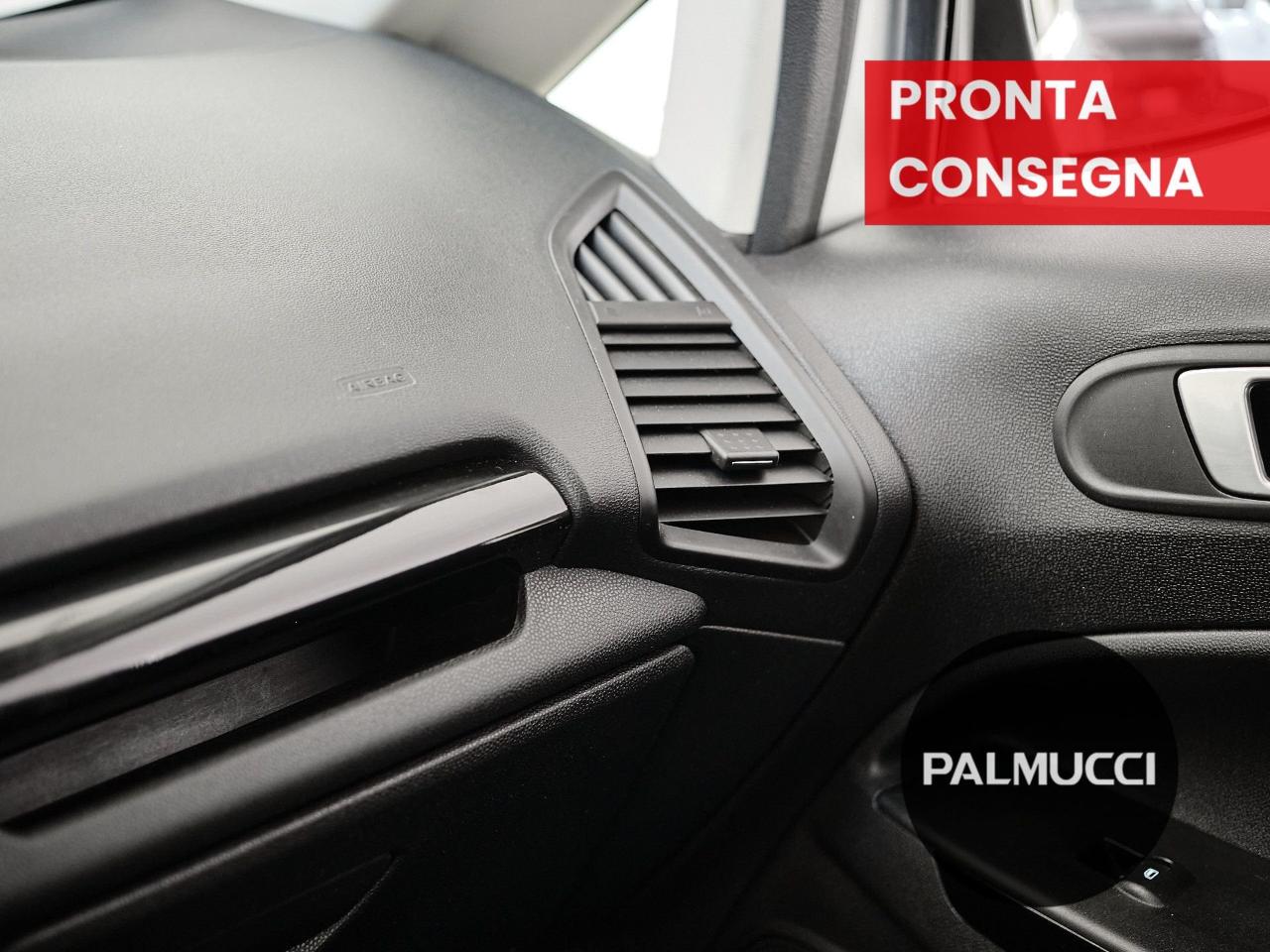 Ford Ford Ecosport usata 10