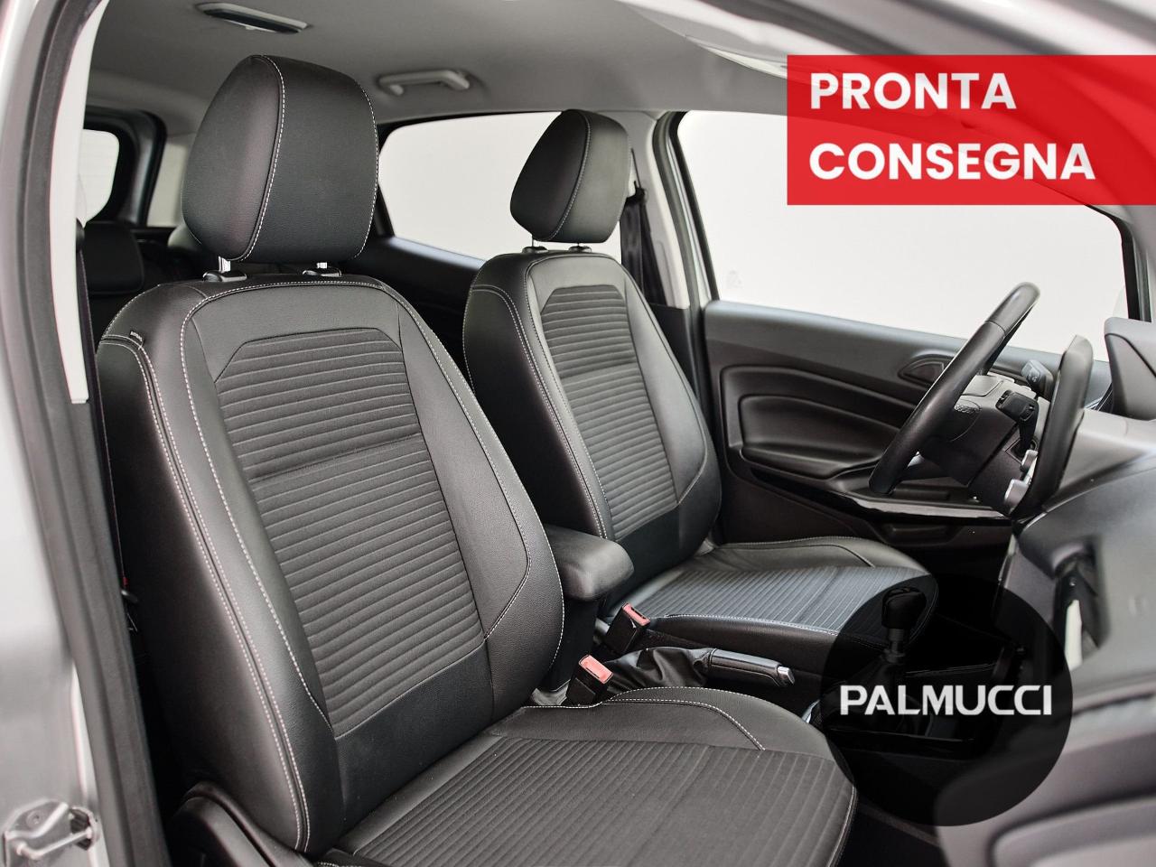 Ford Ford Ecosport usata 13