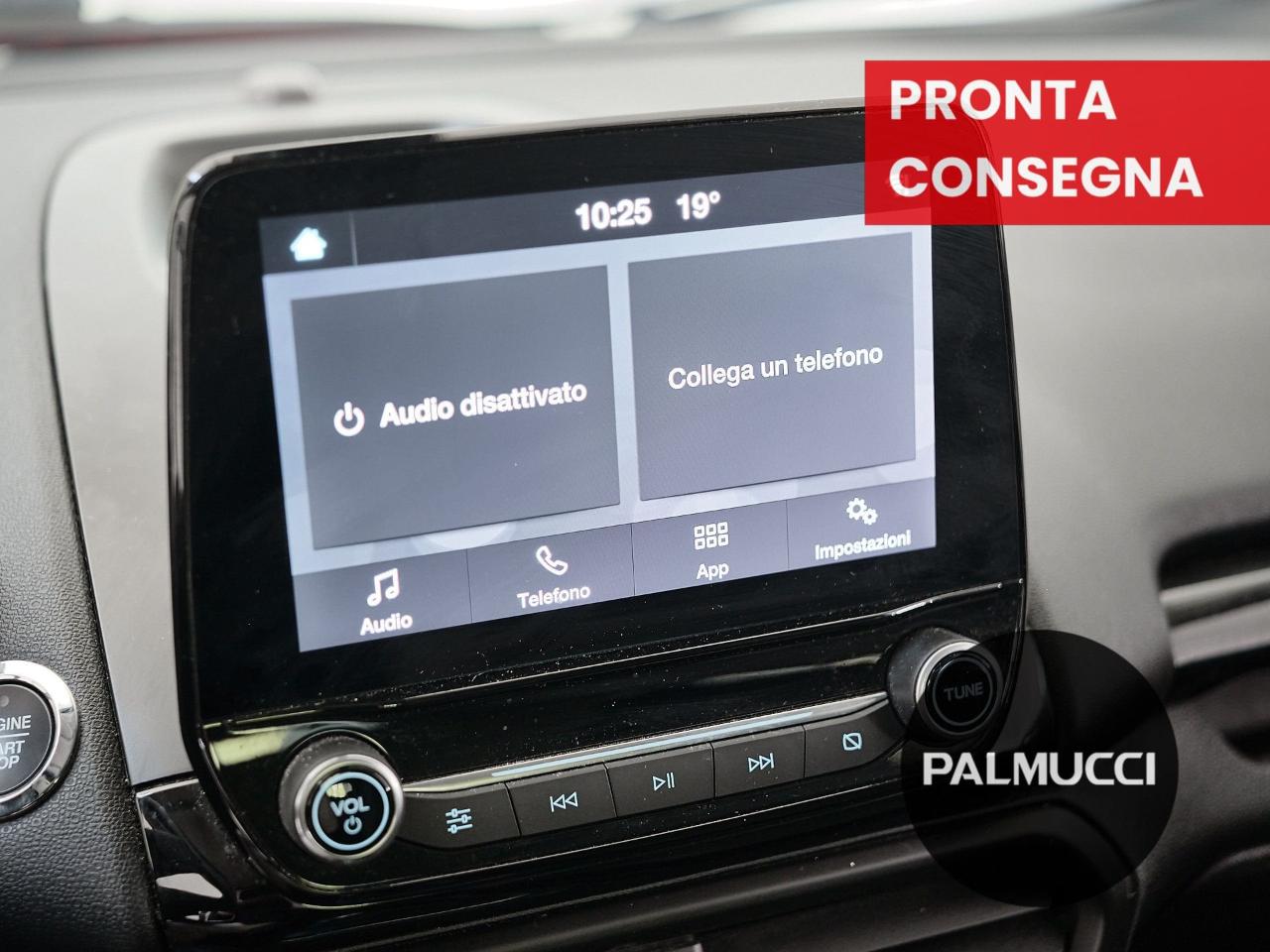 Ford Ford Ecosport usata 14