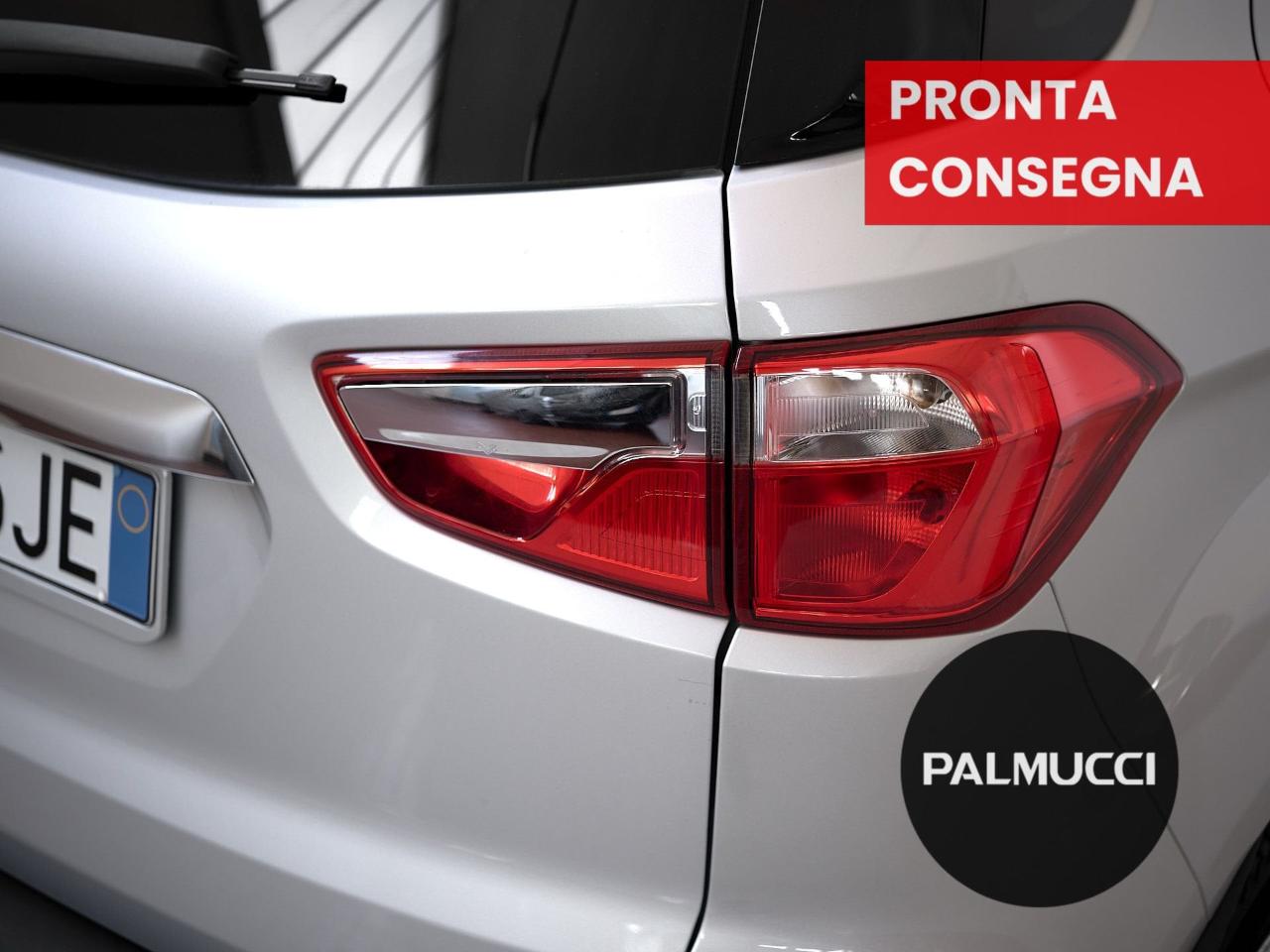 Ford Ford Ecosport usata 18