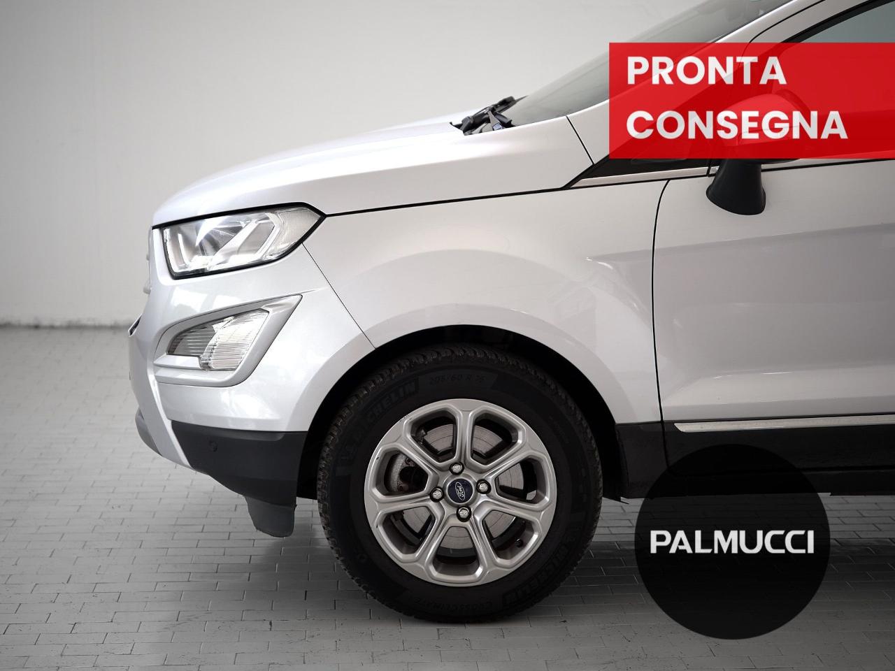 Ford Ford Ecosport usata 19