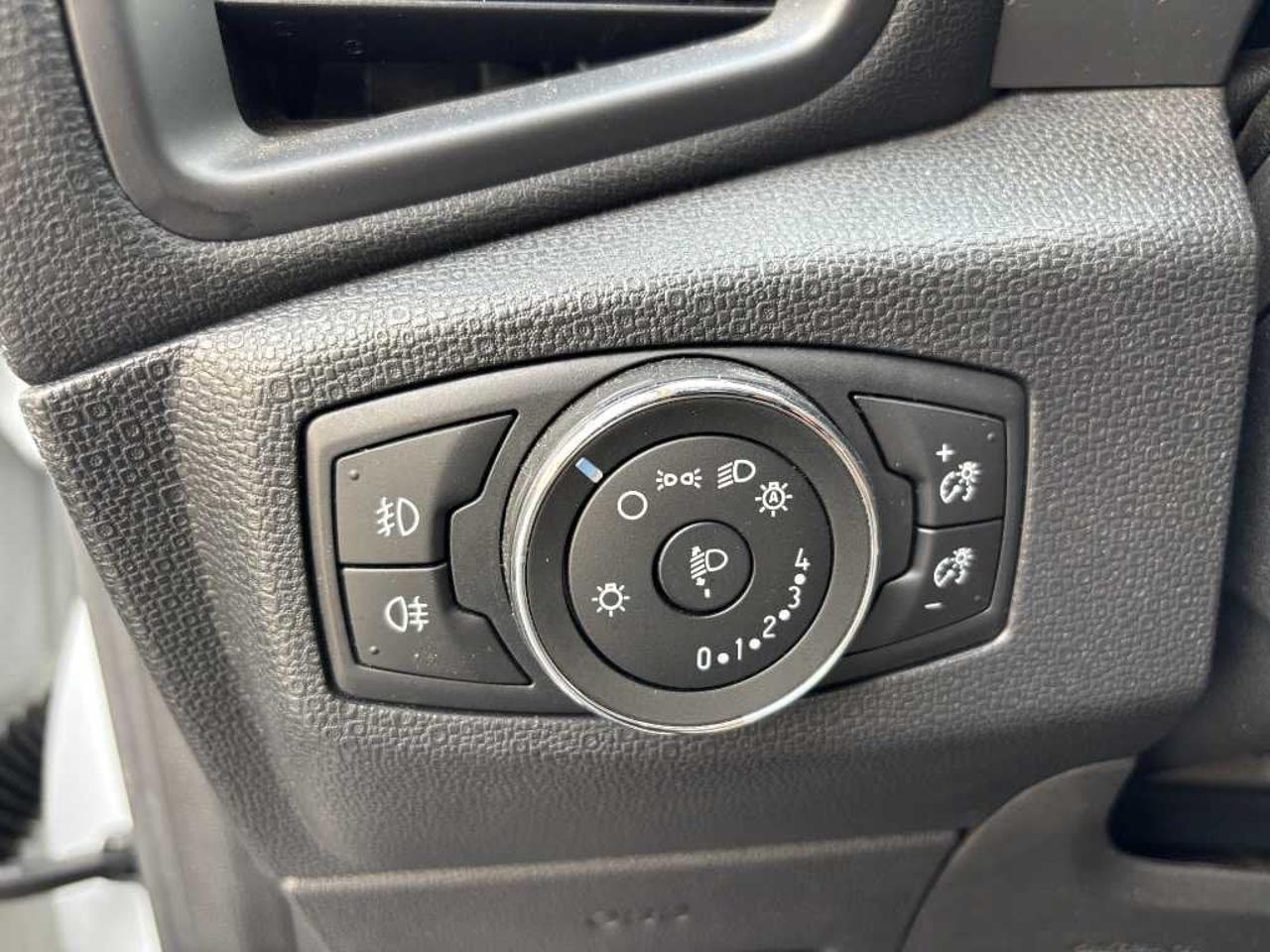 Ford Ford Ecosport usata 6