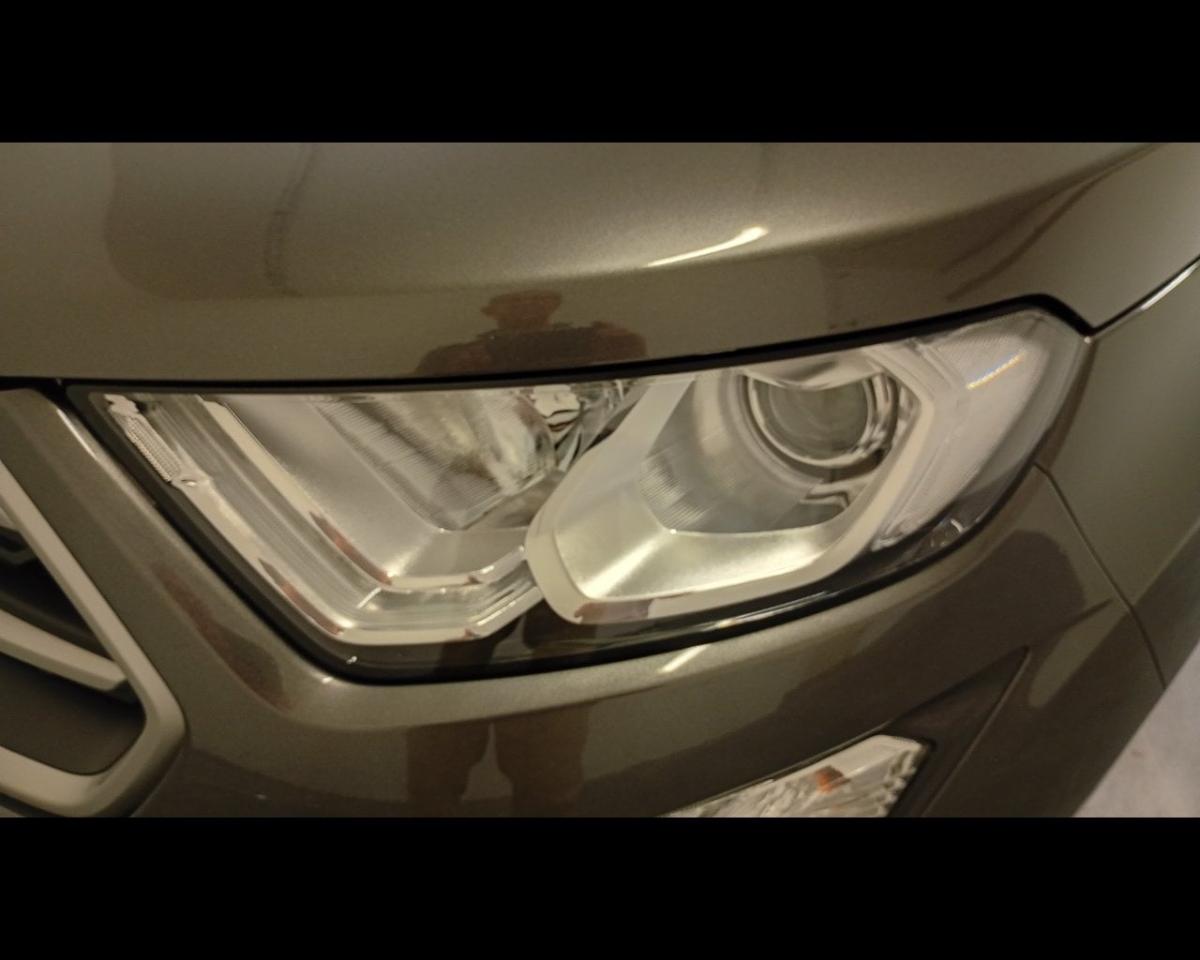 Ford Ford Ecosport usata 5
