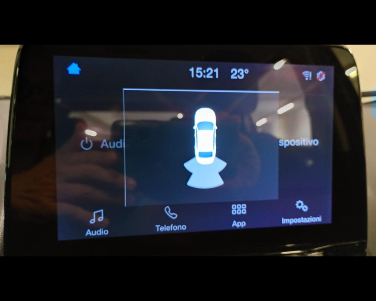 Ford Ford Ecosport usata 9