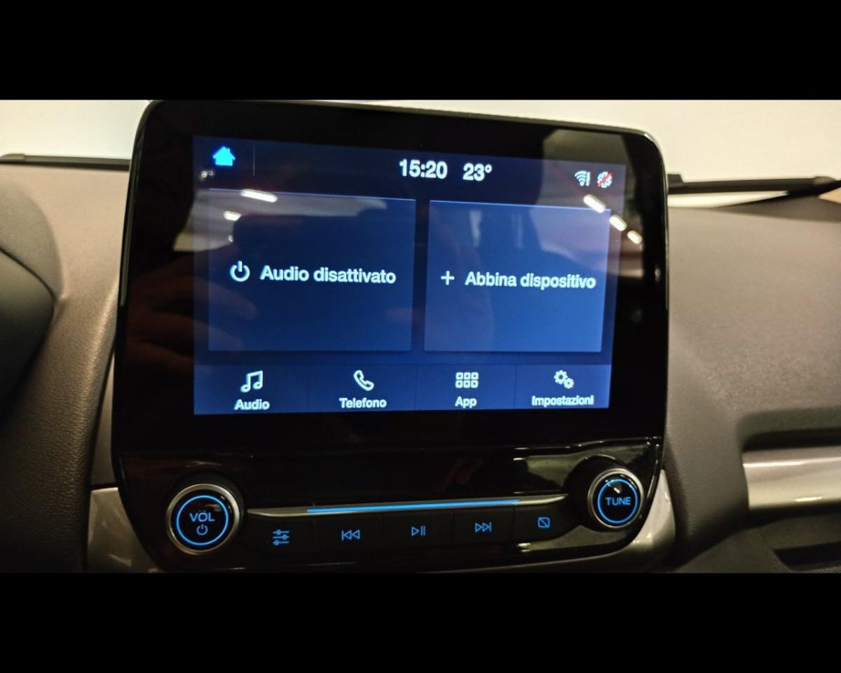 Ford Ford Ecosport usata 10