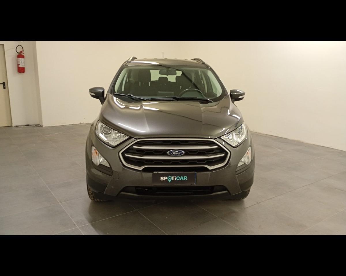 Ford Ford Ecosport usata 11