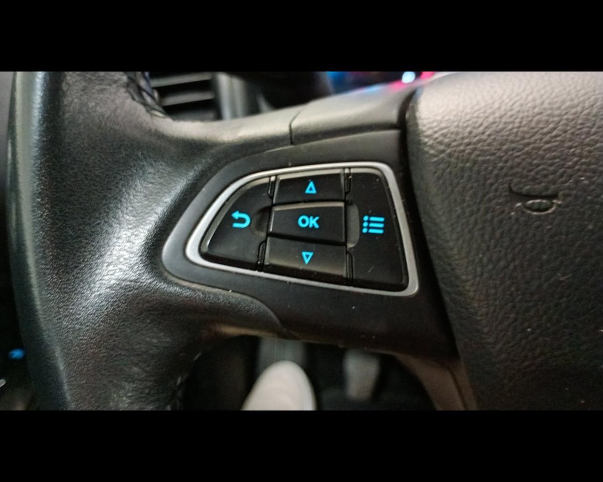 Ford Ford Ecosport usata 13