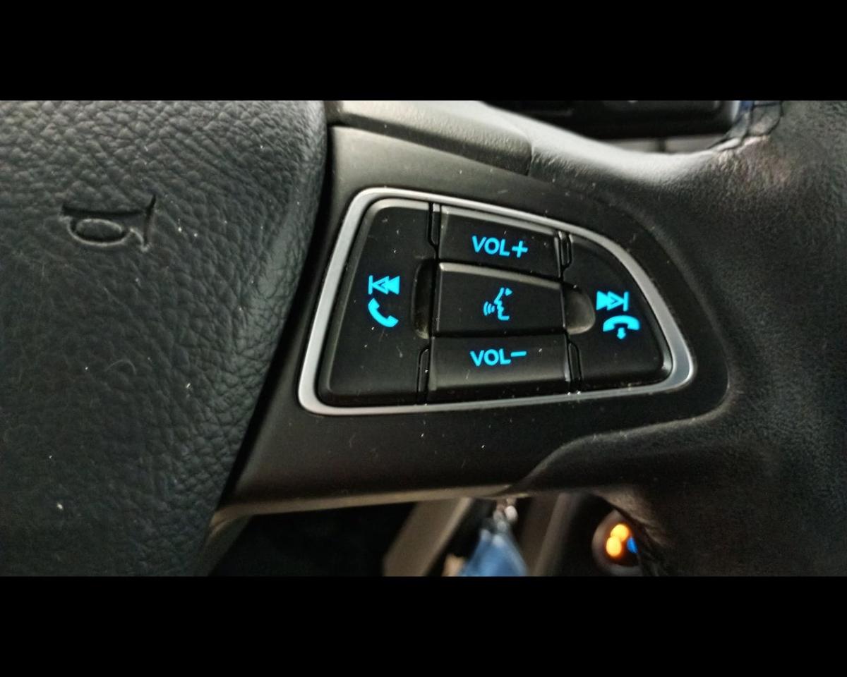Ford Ford Ecosport usata 14