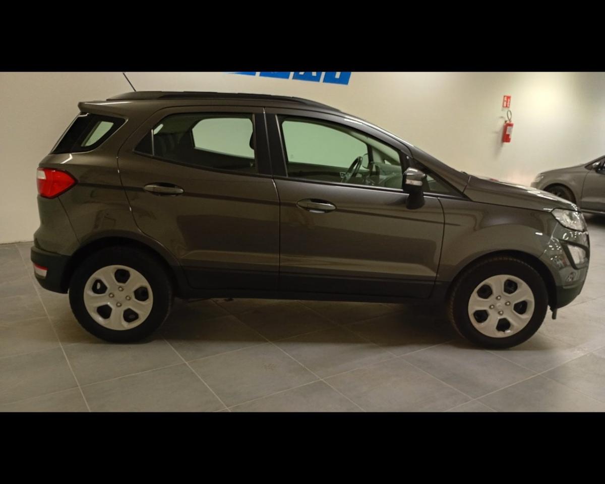 Ford Ford Ecosport usata 18