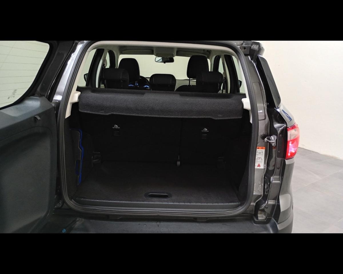 Ford Ford Ecosport usata 20