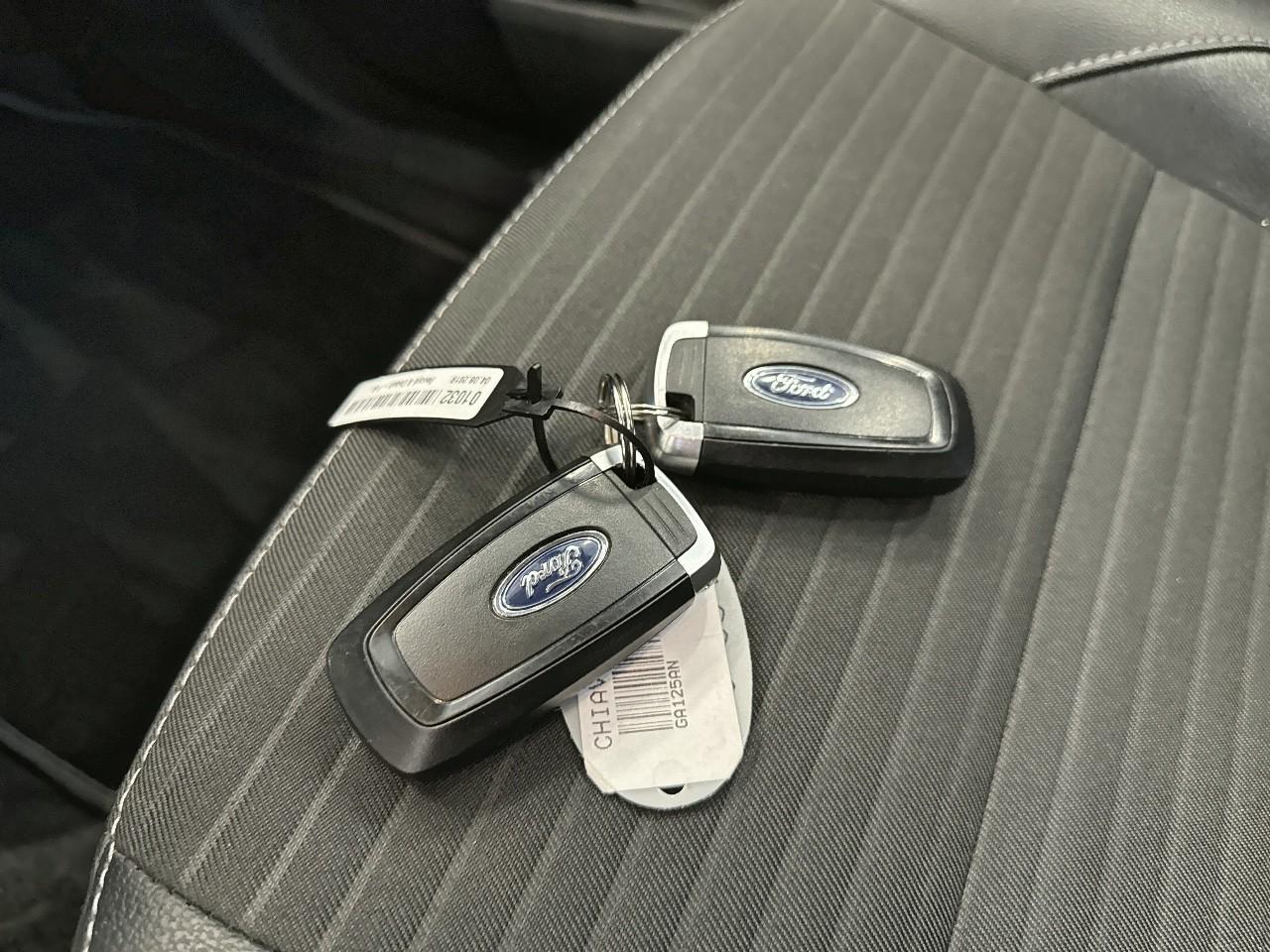 Ford Ford Ecosport usata 12