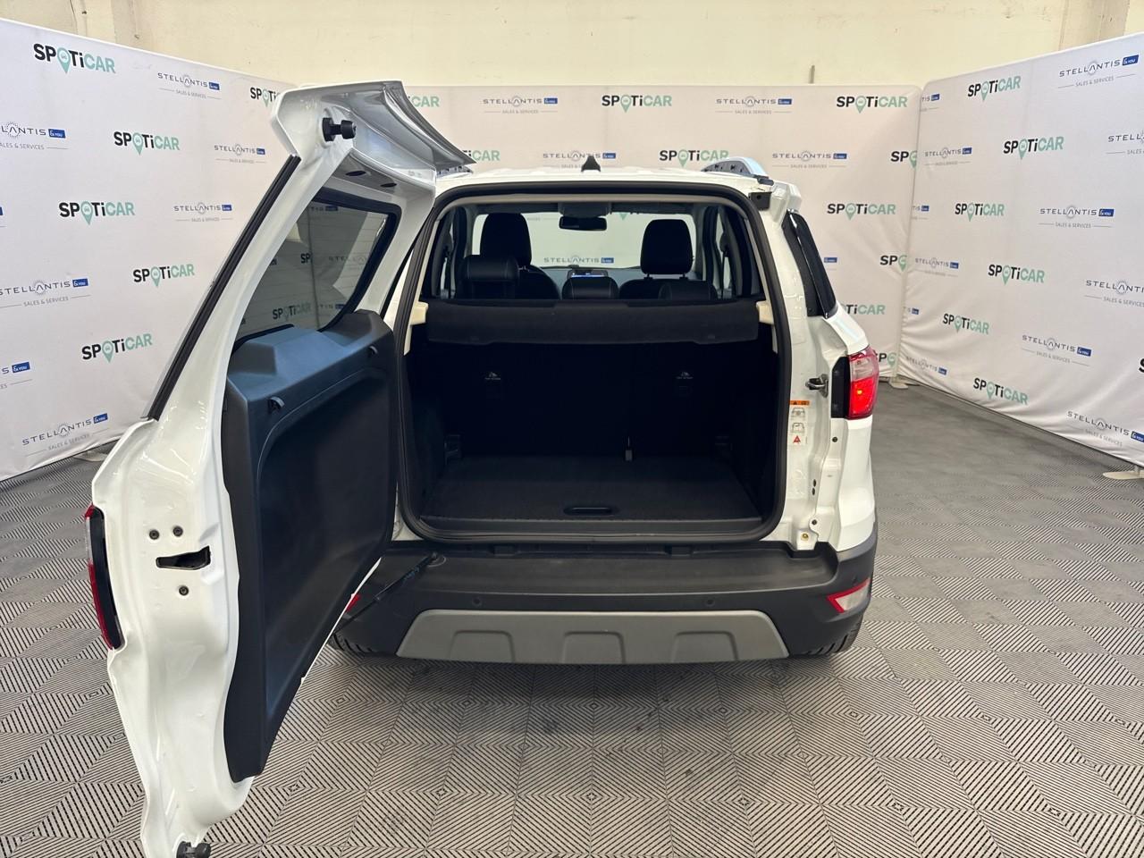 Ford Ford Ecosport usata 18