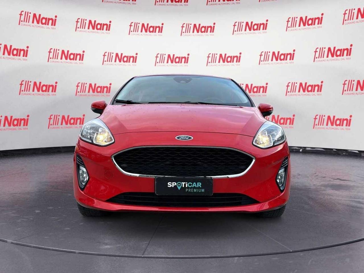 Ford Ford Fiesta usata, con cruise control