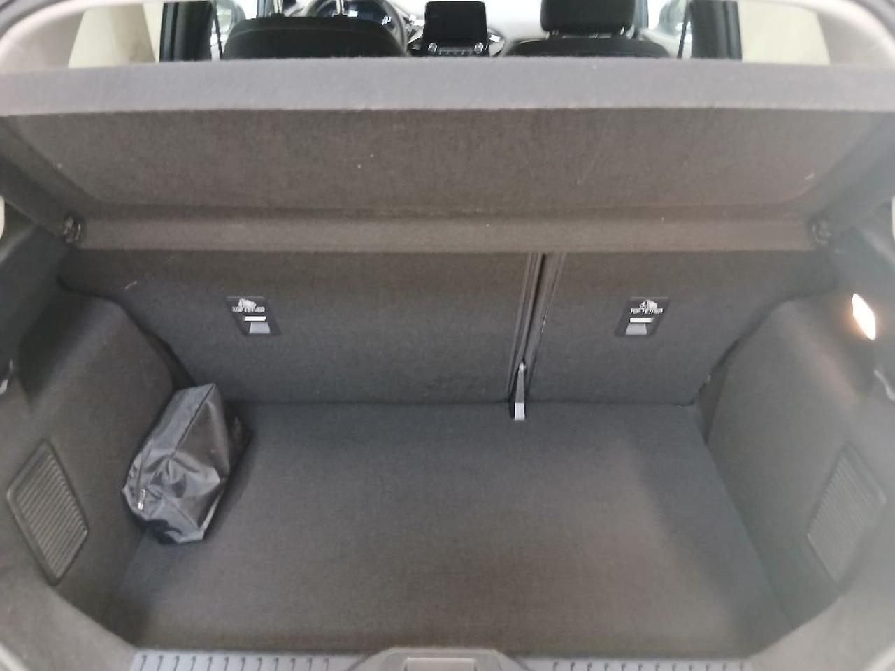 Ford Ford Fiesta usata 16