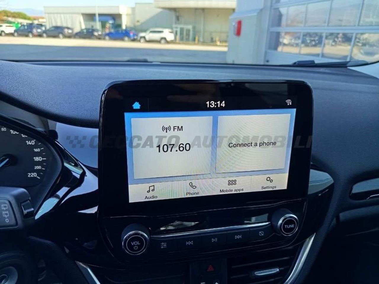 Ford Ford Fiesta usata 23