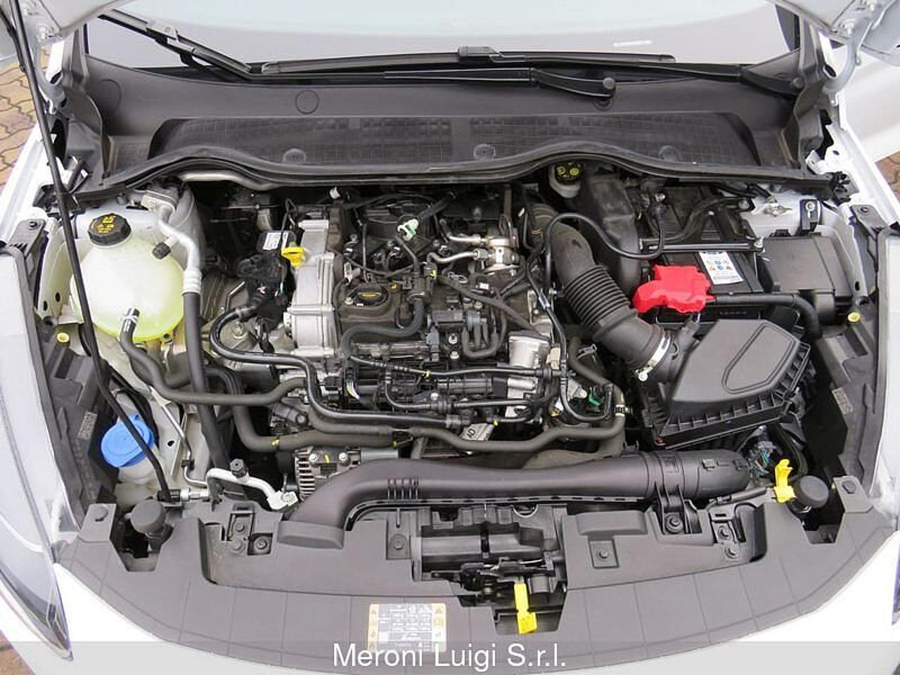 Ford Ford Fiesta usata 18